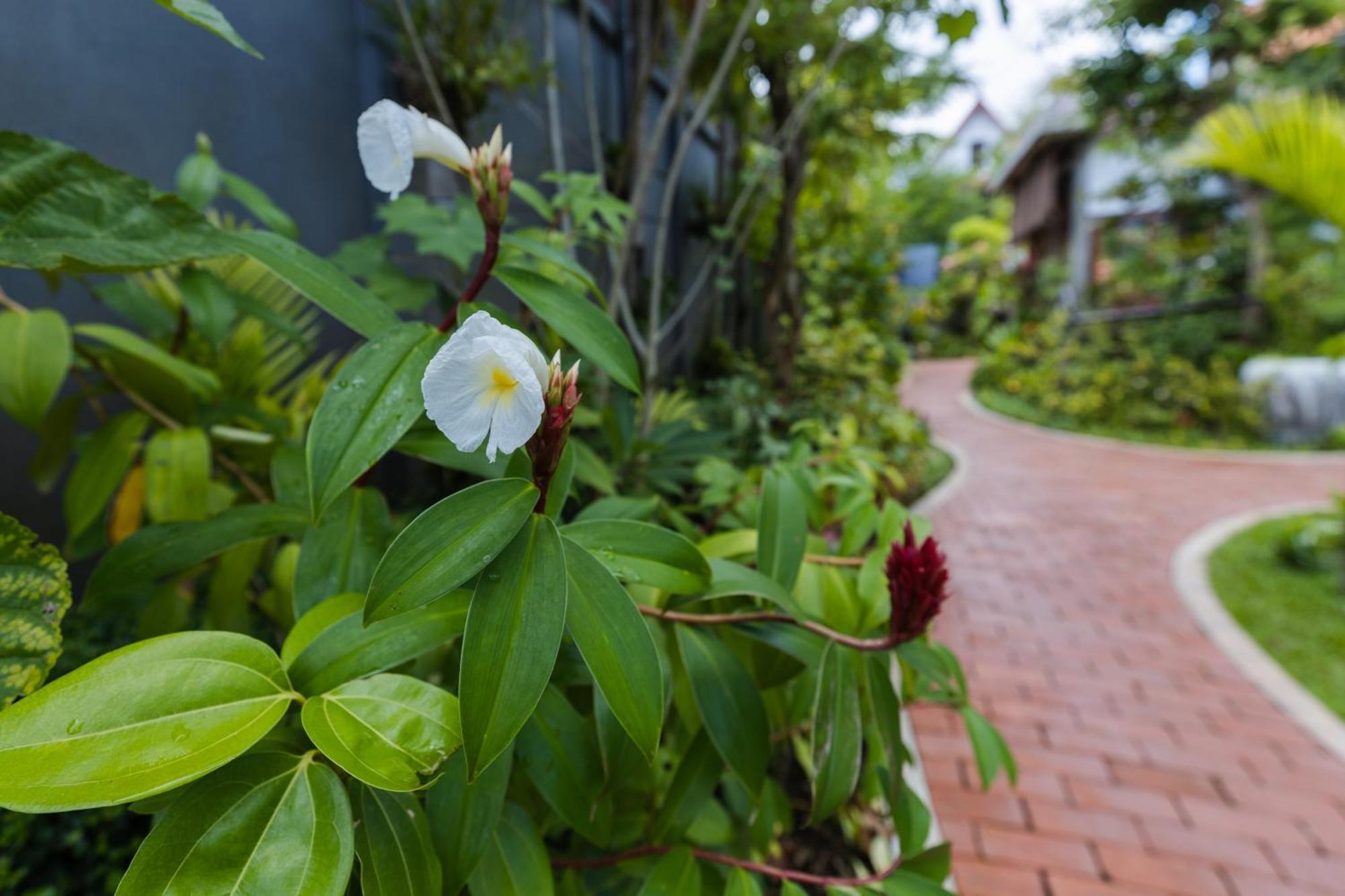 Golden Vishnu Villa Siem Reap Exterior photo